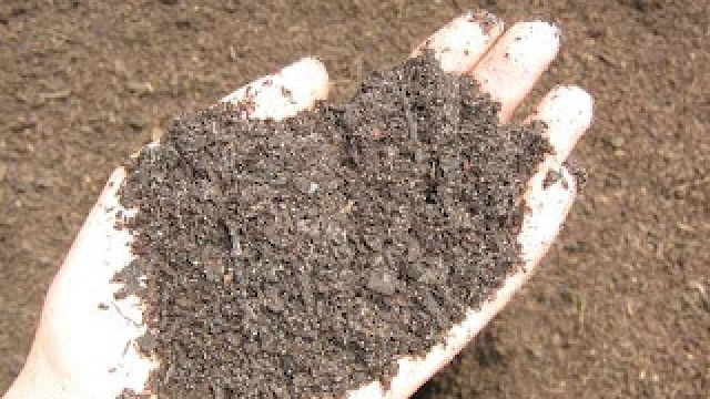 Nurturing Nature: The Magic of Organic Soils and Fertilizers