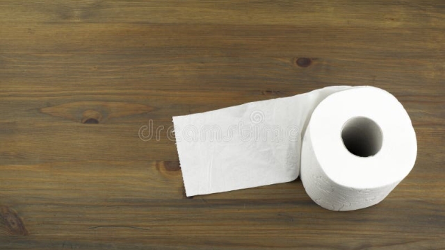 The Great Debate: Over vs. Under – Unraveling the Toilet Paper Mystery
